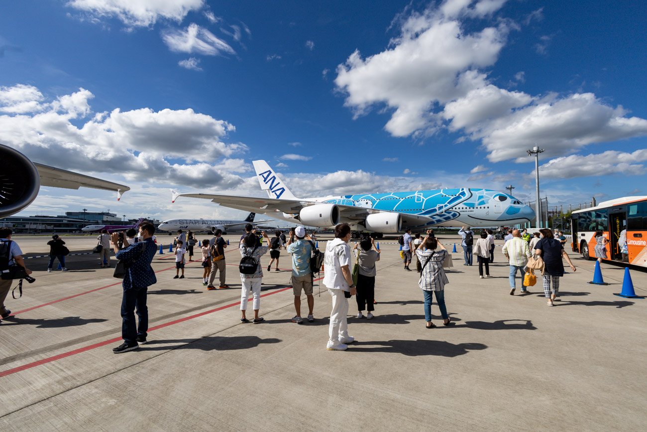 ANA A380 Charter